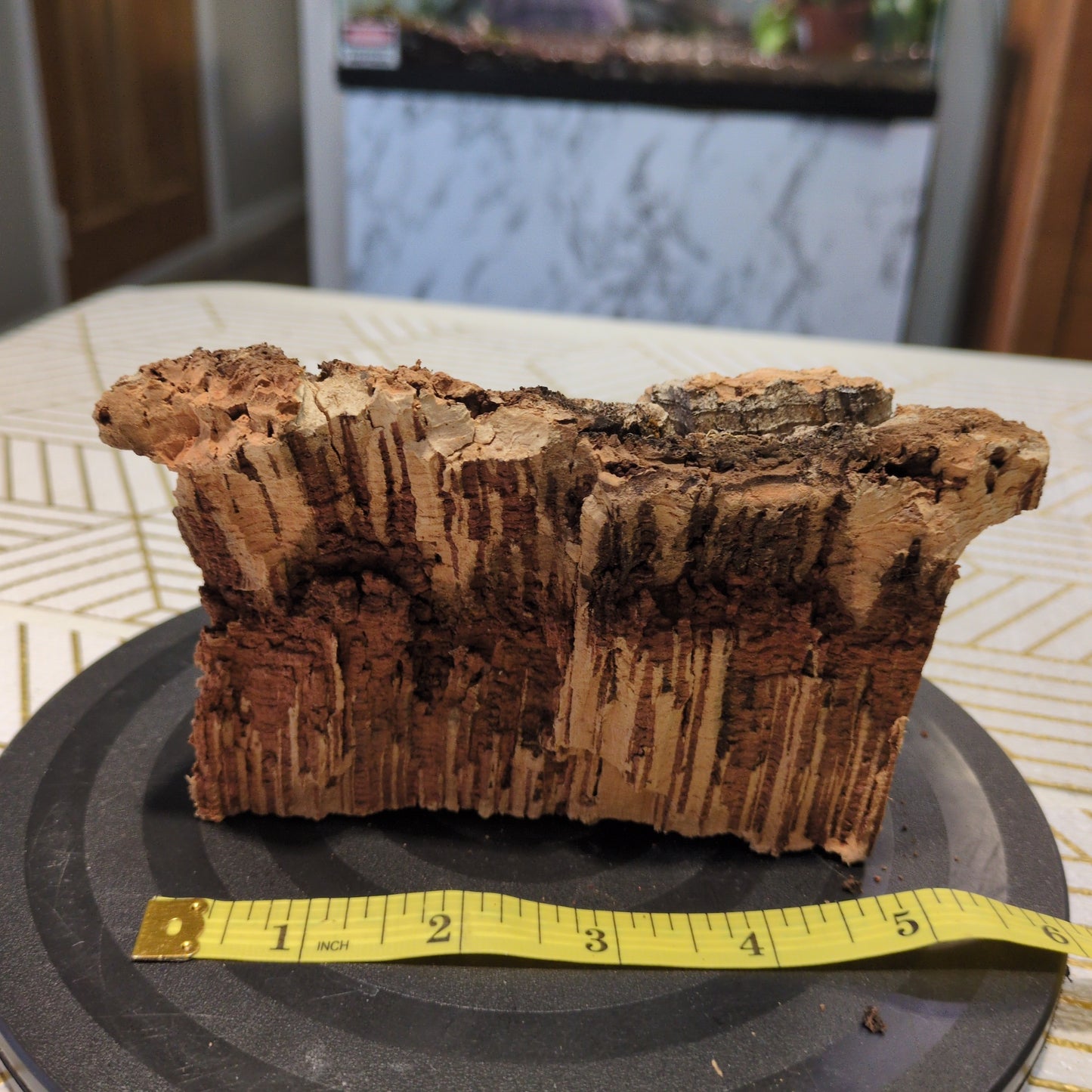 Natural Virgin Cork Chunk 5"