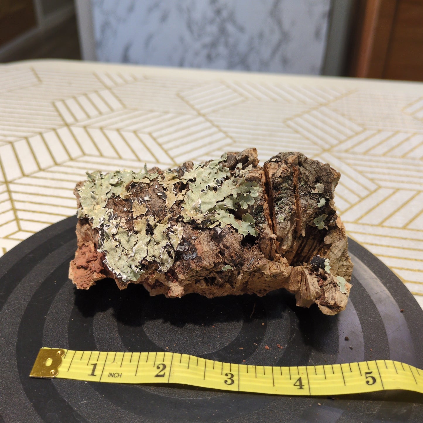 Natural Virgin Cork Chunk 5"