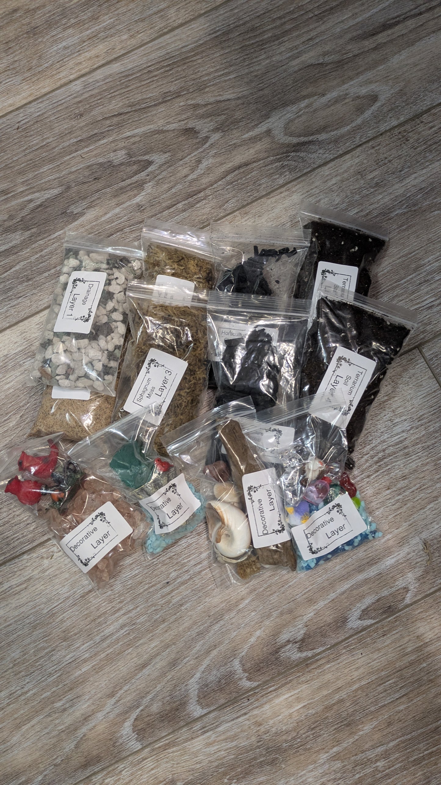 Side Sitting Glass Terrarium Kit 8" Metal Lid