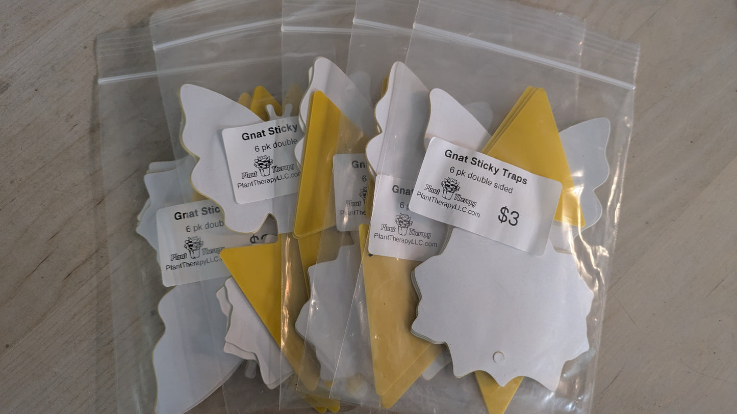 Double Sided Gnat Sticky Traps Pack of 6 (Yellow)