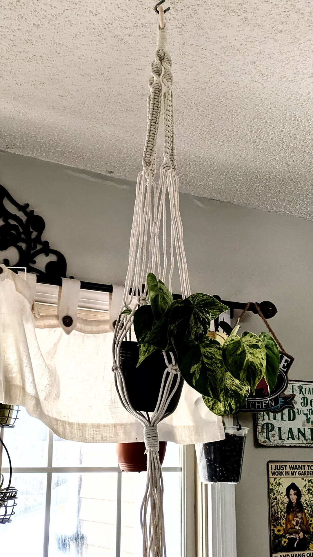 Macrame Plant Pot Hangers