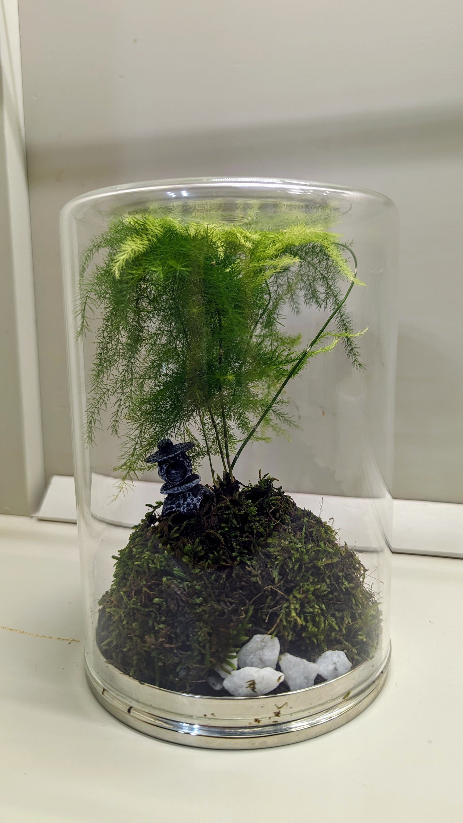 Terrariums: Tiny Worlds Growing