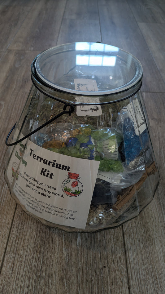 Antique Looking Handled RIbbed Glass Terrarium Kit Large
