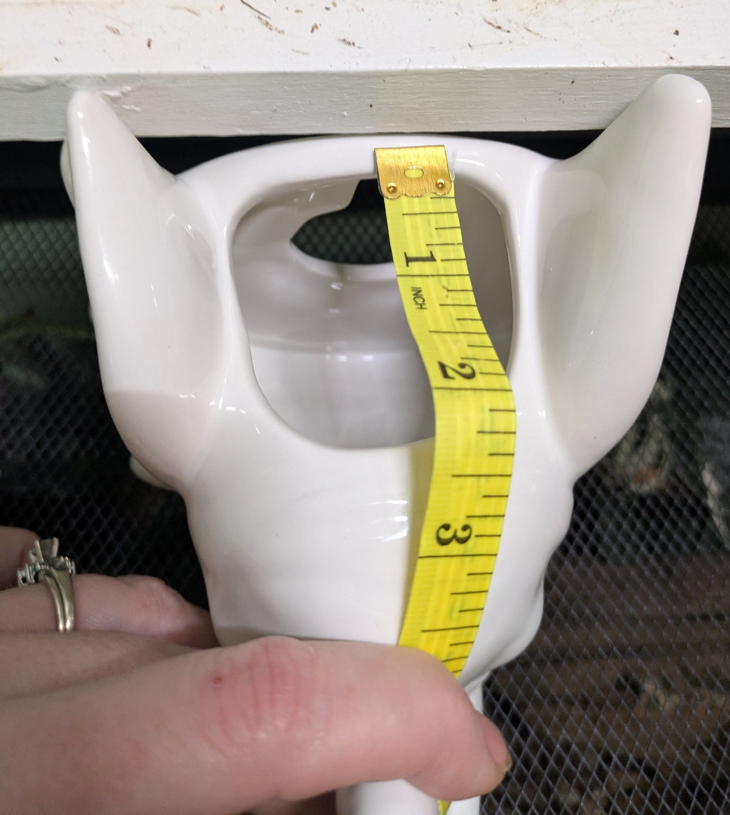 White Elephant Head Wall Planter 6"
