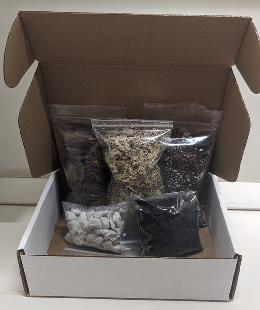 Small Just the Basics Terrarium Kit