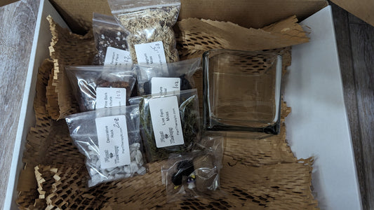 Small Upgraded Open Terrarium Kit-B