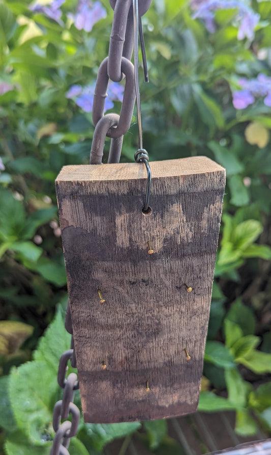 Reclaimed Wood Plank Hanging Plant Display-A (Staghorn or Orchid)