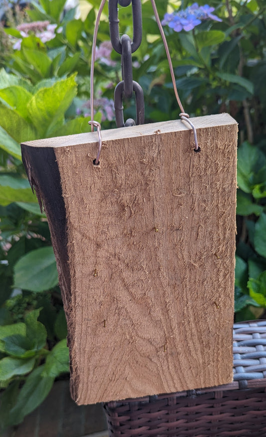 Reclaimed Wood Plank Hanging Plant Display-E (Staghorn or Orchid)