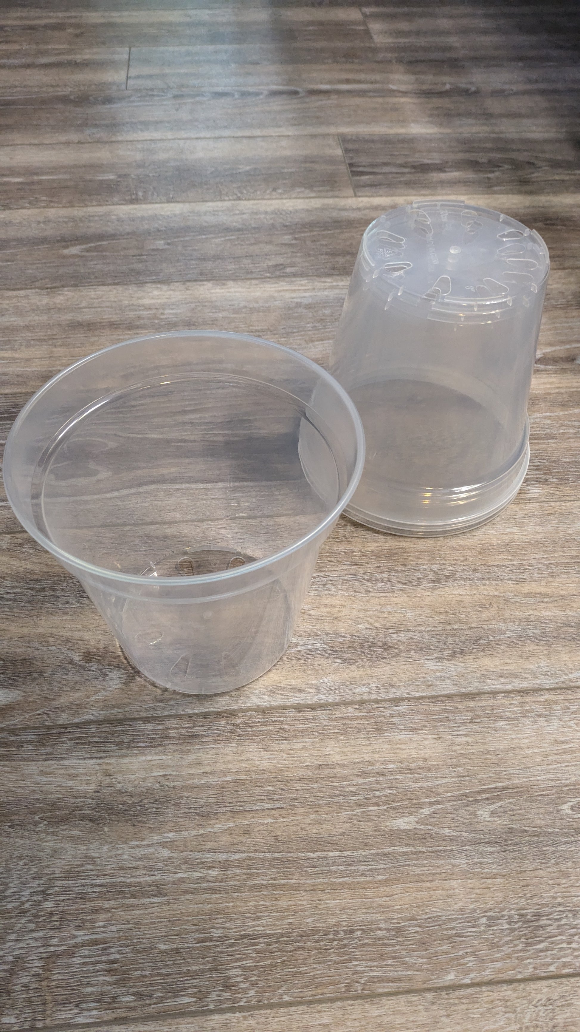 clear plastic pots for plants 8" pack of 4 Heavy Duty Clear Reusable Nursery Pots w/ Drainage – Plant Therapy llc