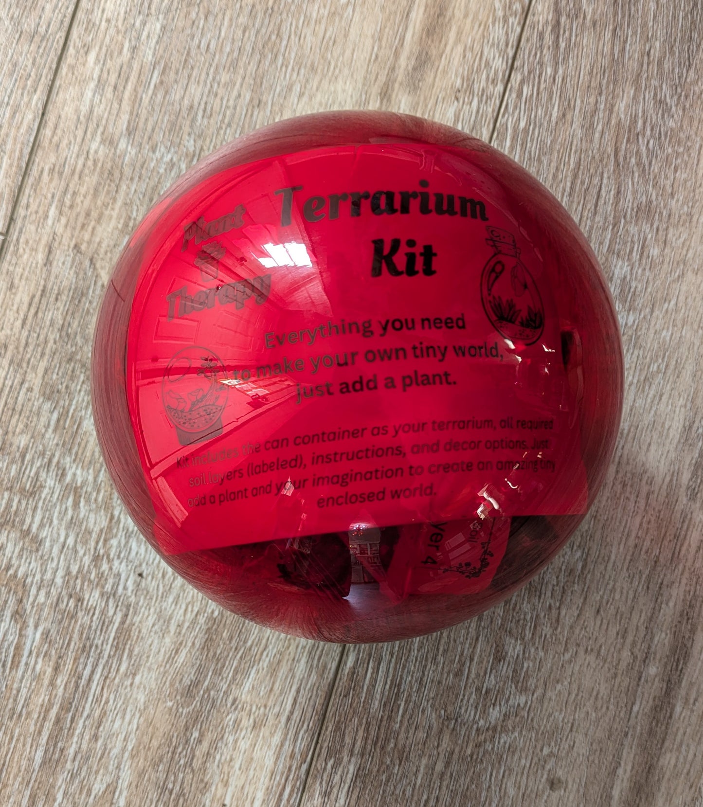 Red Glass Top Mushroom Terrarium Kit