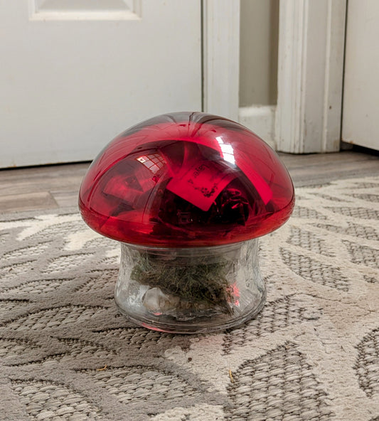 Red Glass Top Mushroom Terrarium Kit