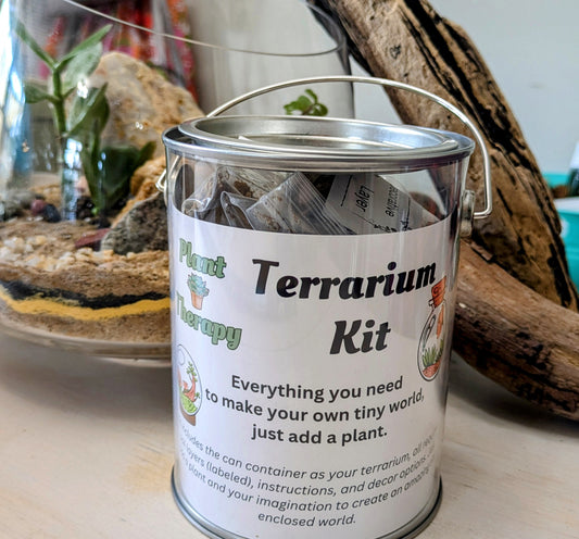 Kids Starter Terrarium Kit in Acrylic Can