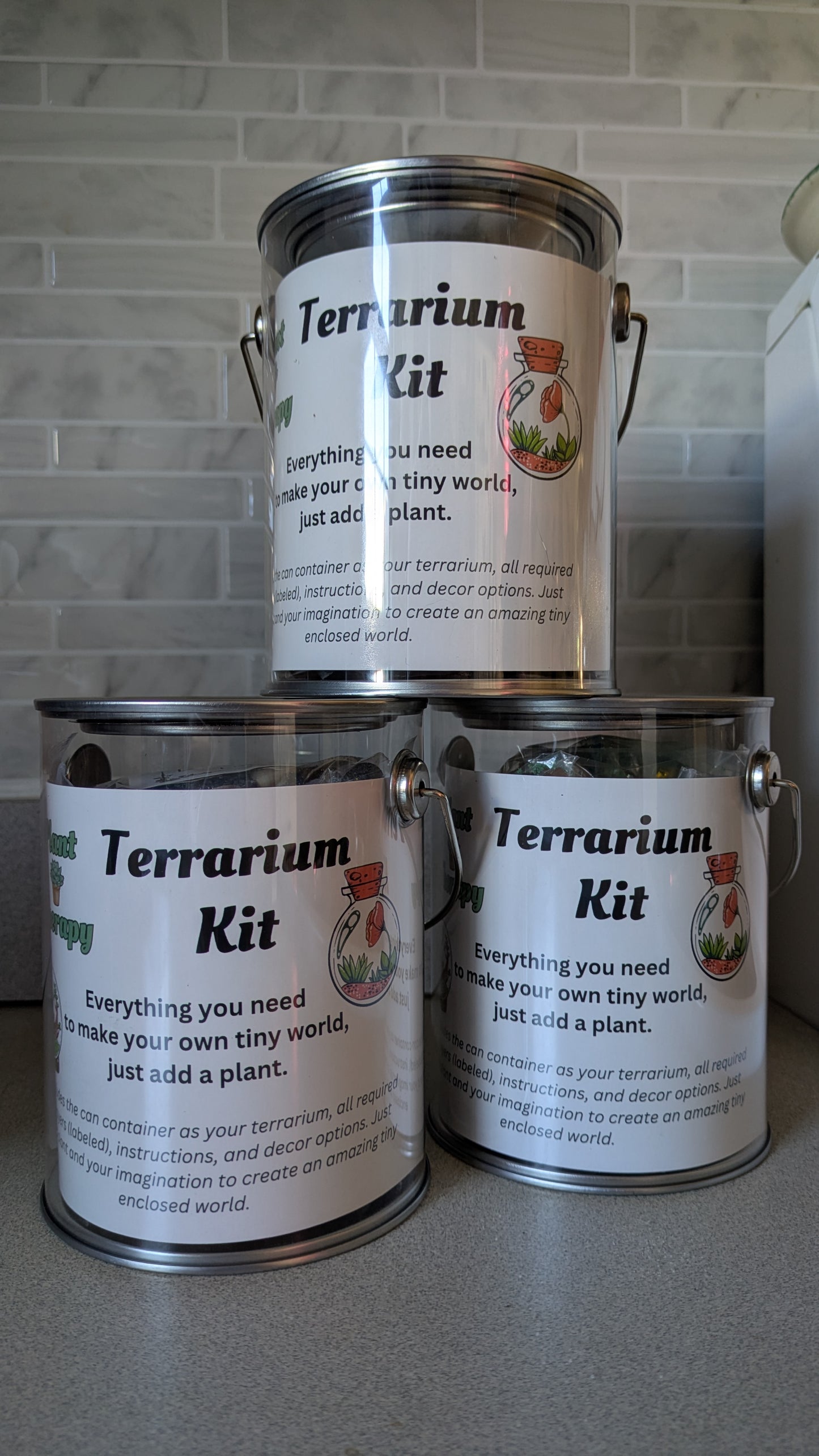 Starter Bucket Terrarium Kit