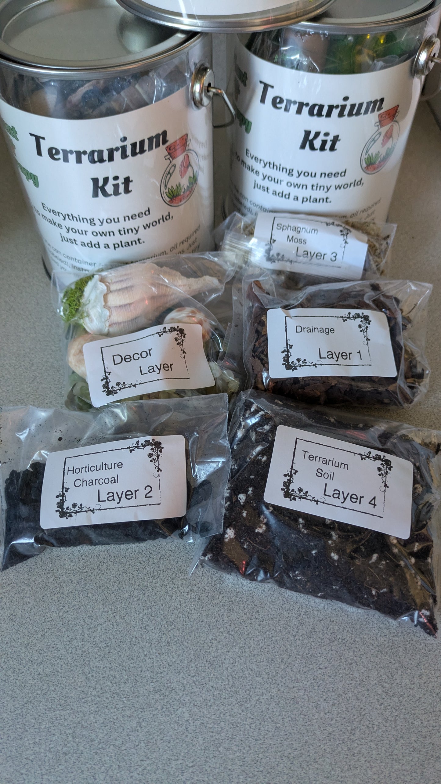 Starter Bucket Terrarium Kit